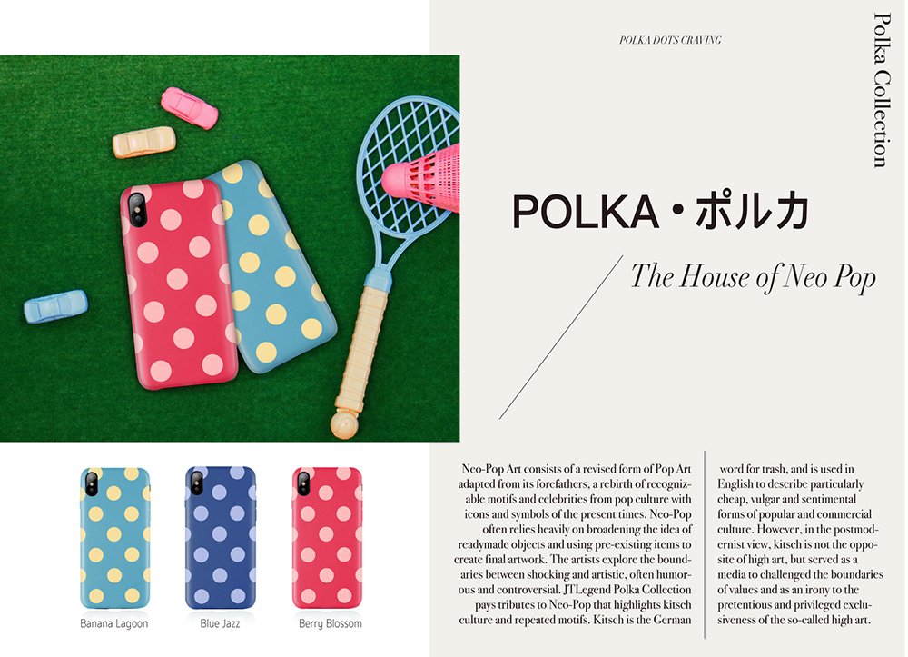 JTLEGEND iPhone X Exquisite Polka PU Genuine Leather Back Case for Apple iPhone X