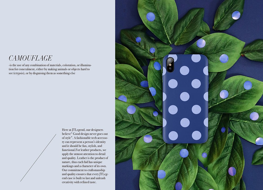 JTLEGEND iPhone X Exquisite Polka PU Genuine Leather Back Case for Apple iPhone X