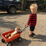 Toddler in striped shirt pulling wagon with tiger plush