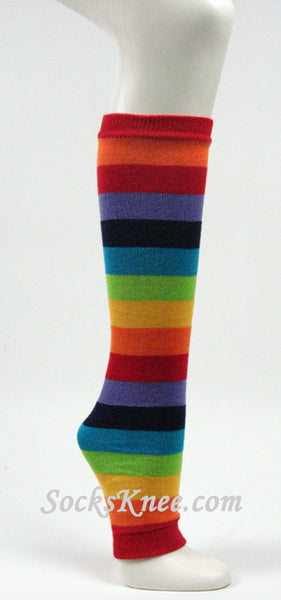 Rainbow Striped Leg Warmer